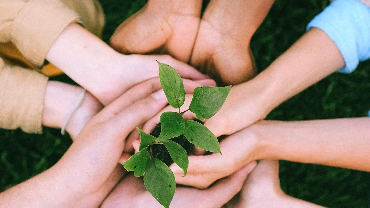 Steps to Achieve Environmental Certifications