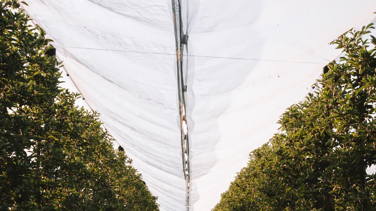 Choosing the Right Shade Percentage