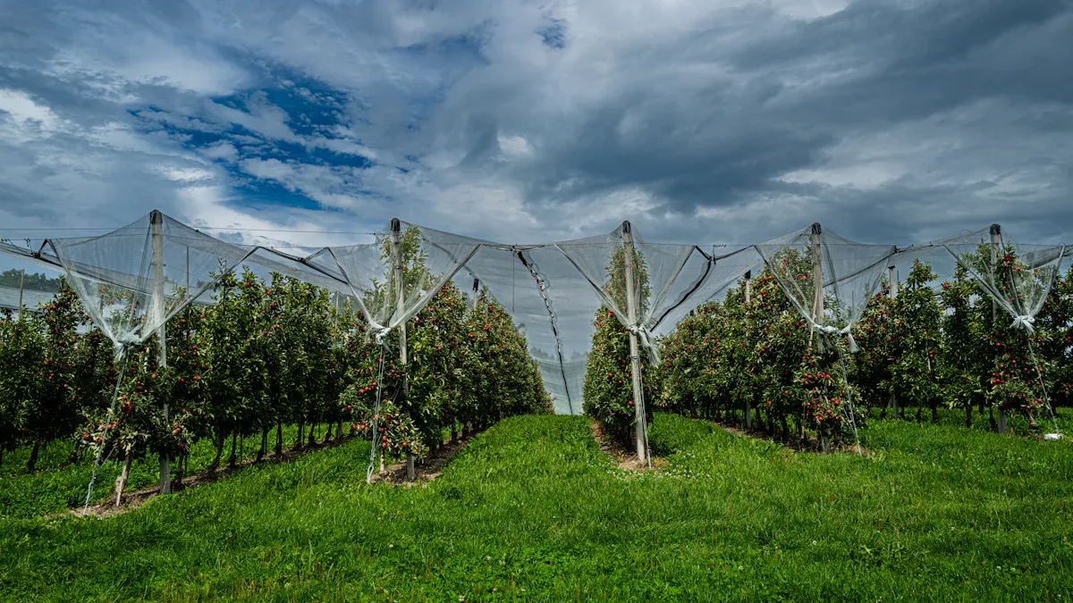 How to choose the best shade cloth for trees: the buying guide