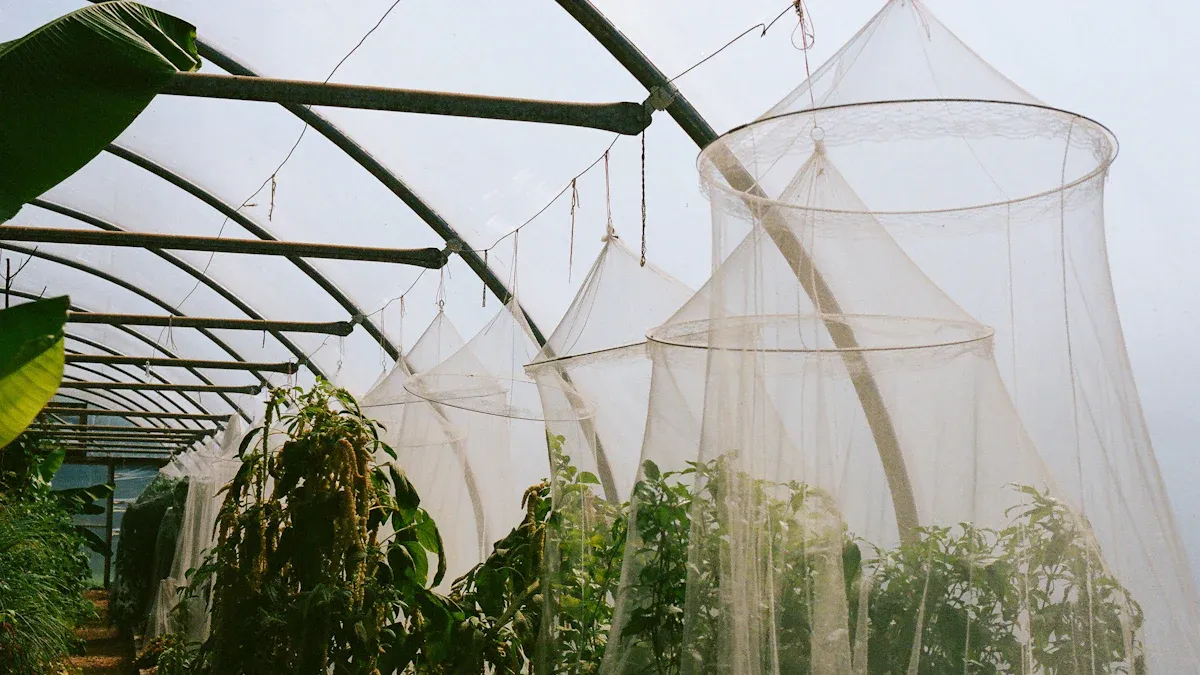 UV Stabilization in Agriculture