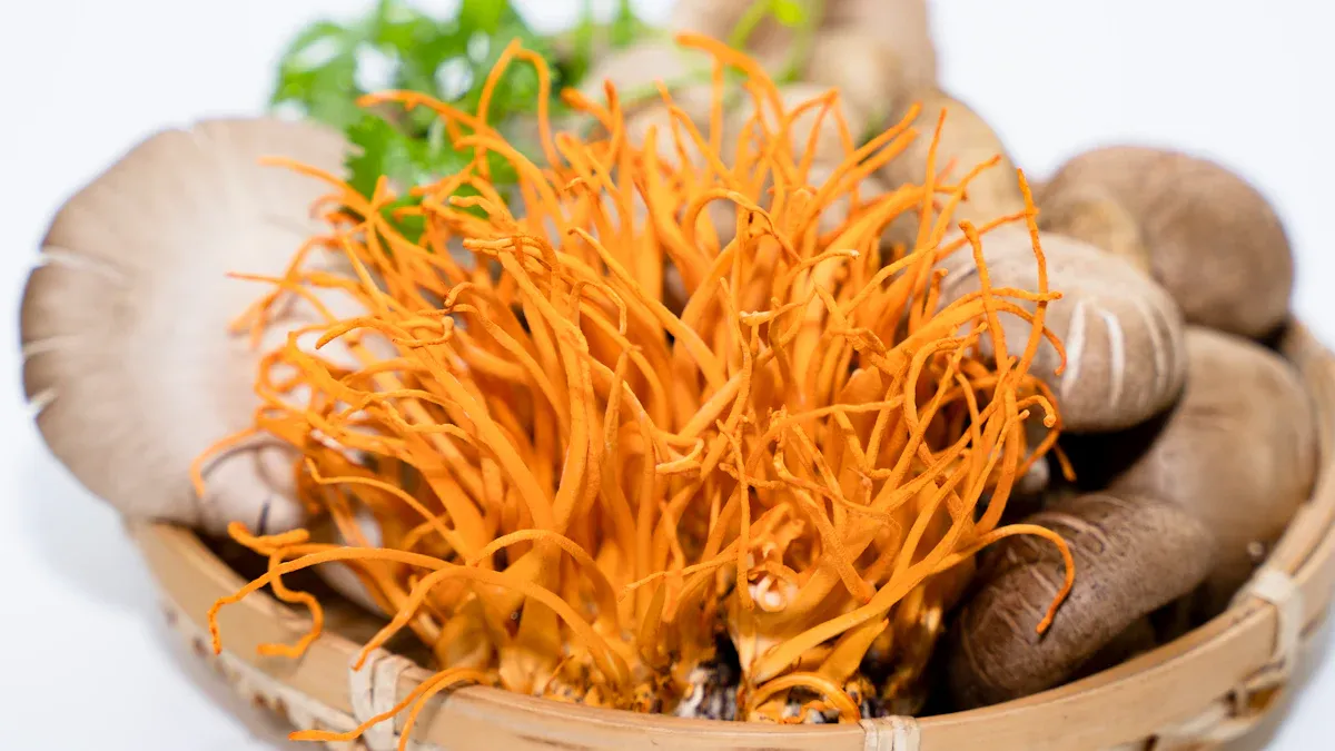 Cordyceps Mushrooms Overview