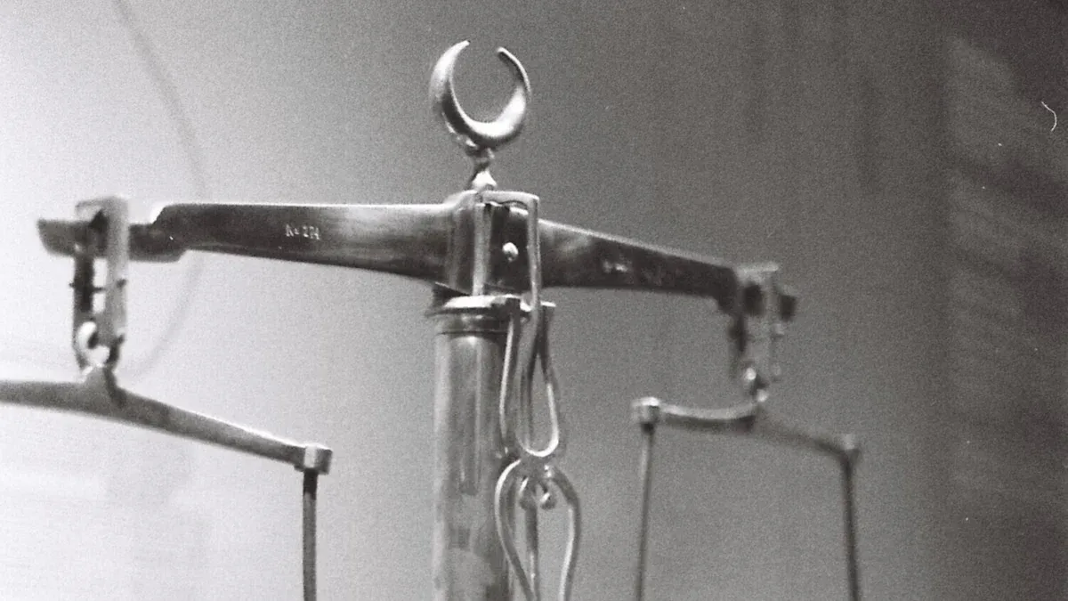 The History of Weighing Scales: From Analog to Digital 1 Ancient Beginnings: History of Weighing Scales