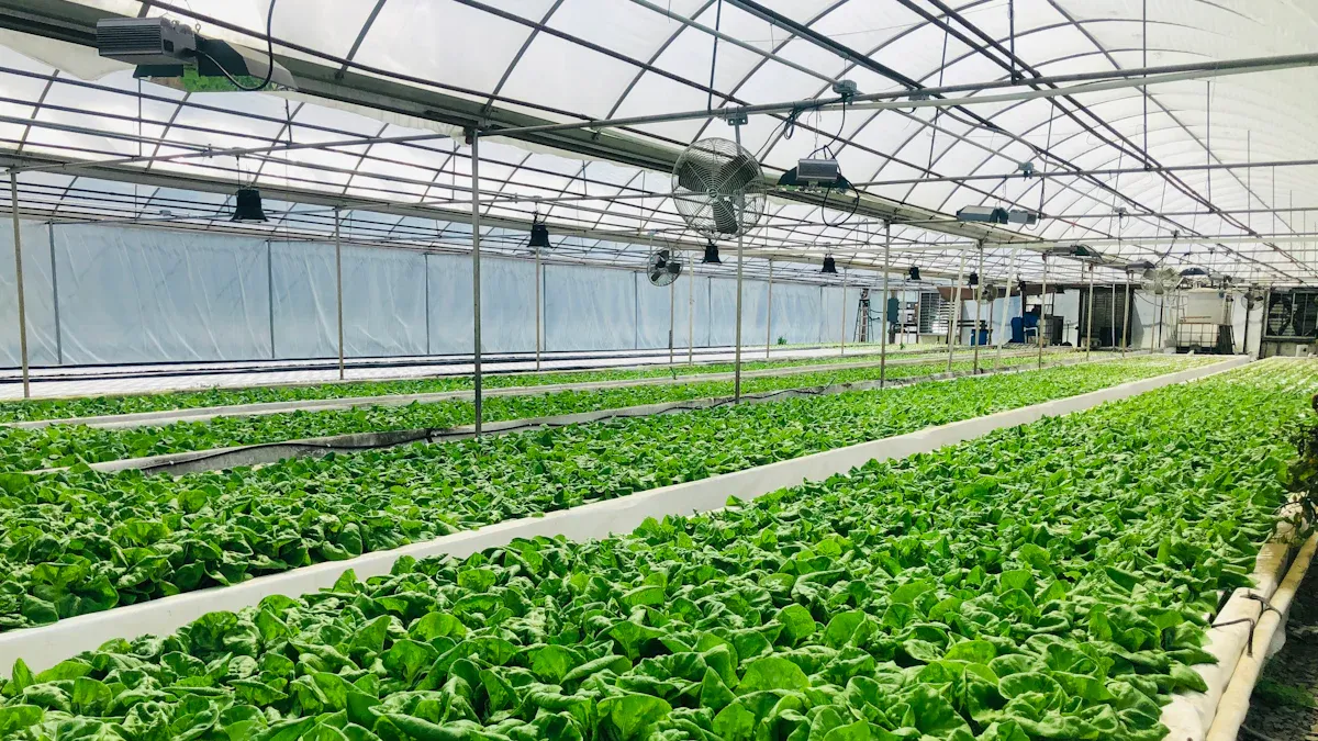 Greenhouse Shade Nets