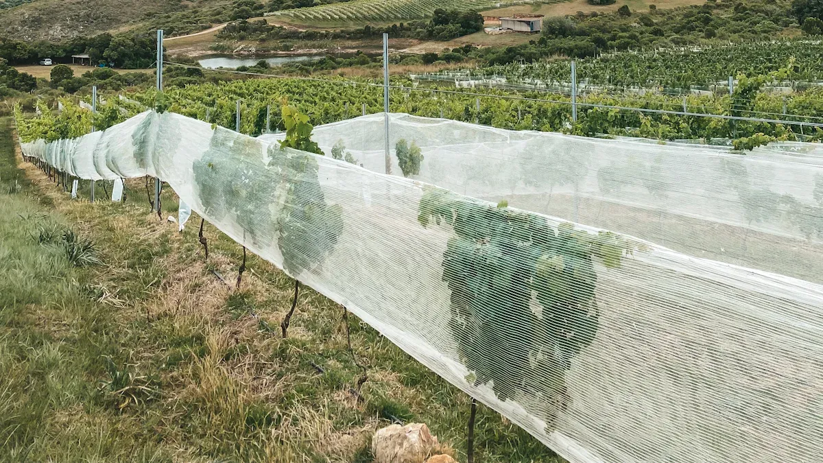 Things You Need To Know When Choosing Agriculture Nets