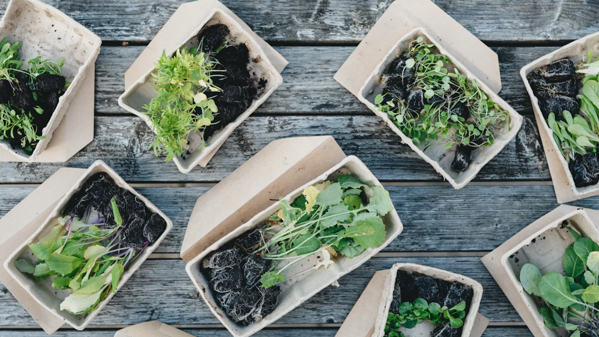 Top Biodegradable Materials for Food Packaging