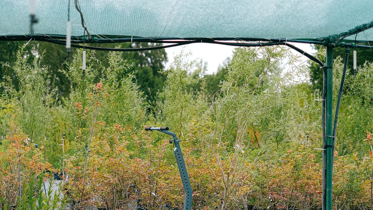 Key Qualities of Trusted Shade Net Manufacturers