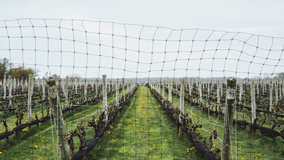Why You Should Use Anti Bird Netting to Protect Your Crops