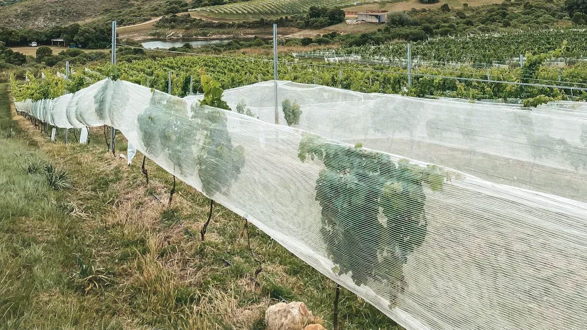 Trusted Anti Bird Net Suppliers for Farm & Commercial Use