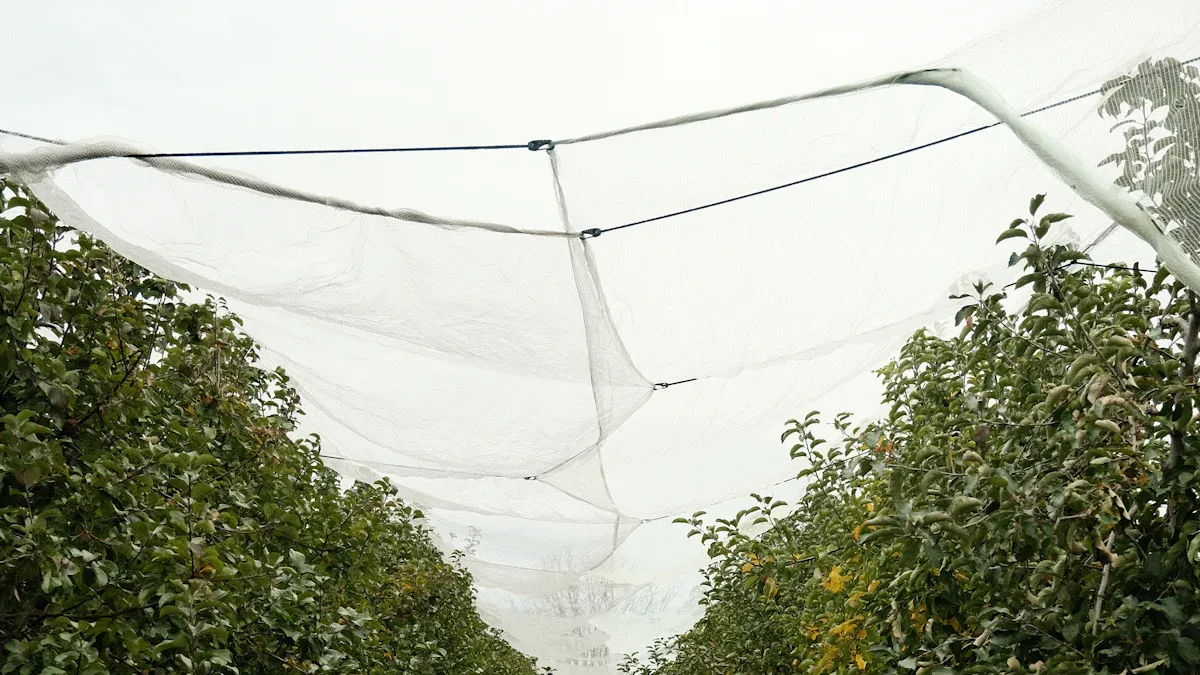 Anti Hail Net