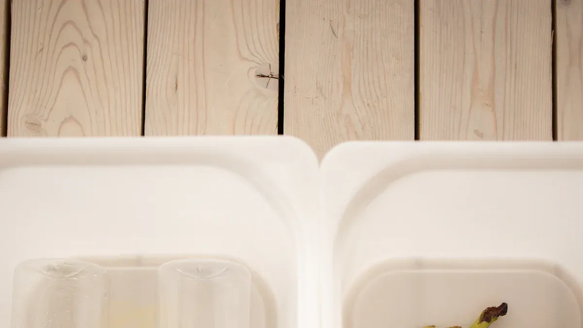 Choosing a Big Litter Tray for Cats