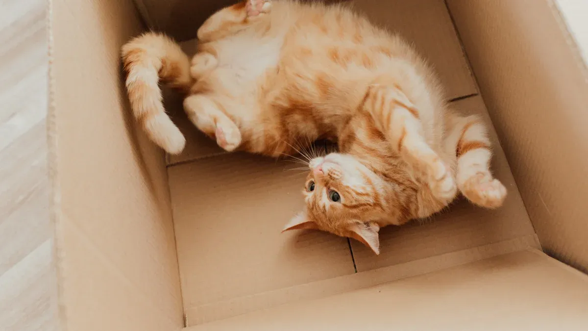 Storage Bin Trays