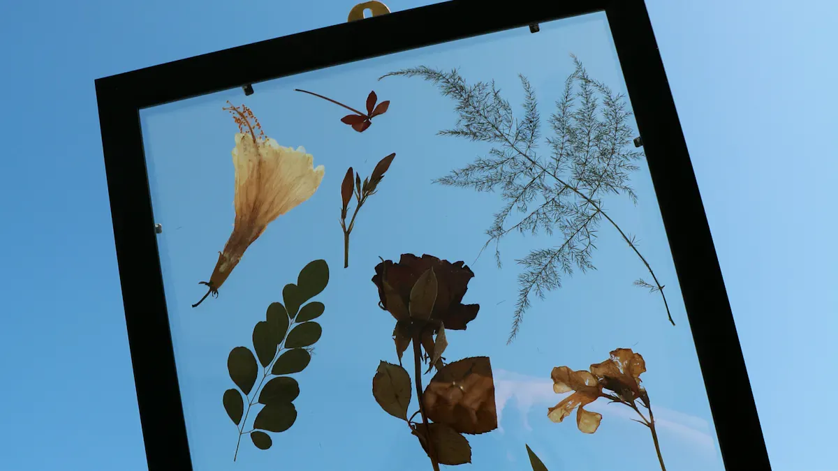 Step-by-Step Guide to Making a Transparent Display at Home