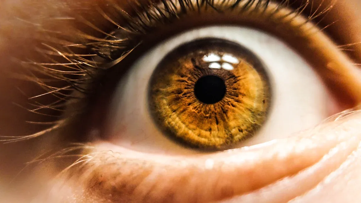 Science of Naked Eye 3D Display