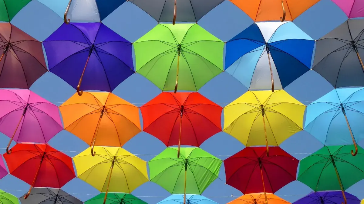 HDR Makes Your Photos and Videos Shine Brighter