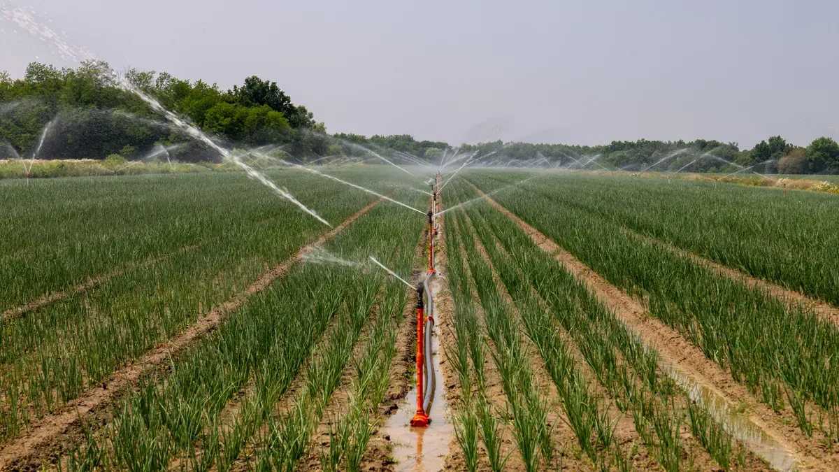 Assess Your Irrigation System