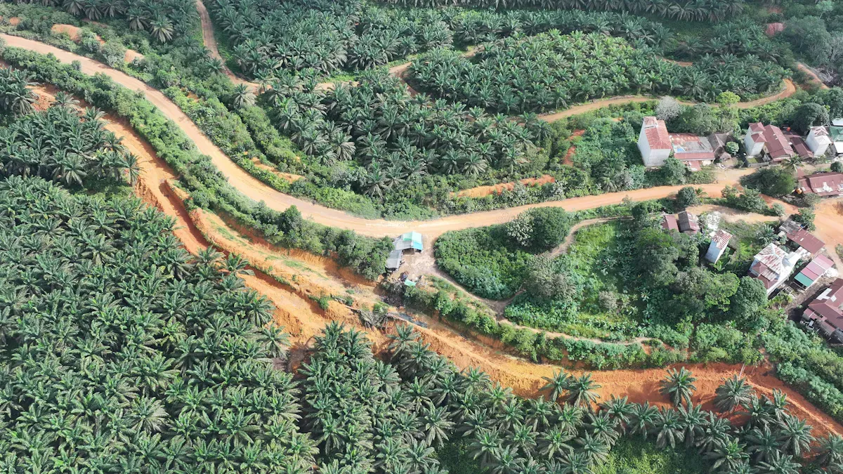 Comparison of different types of palm oil mill chains