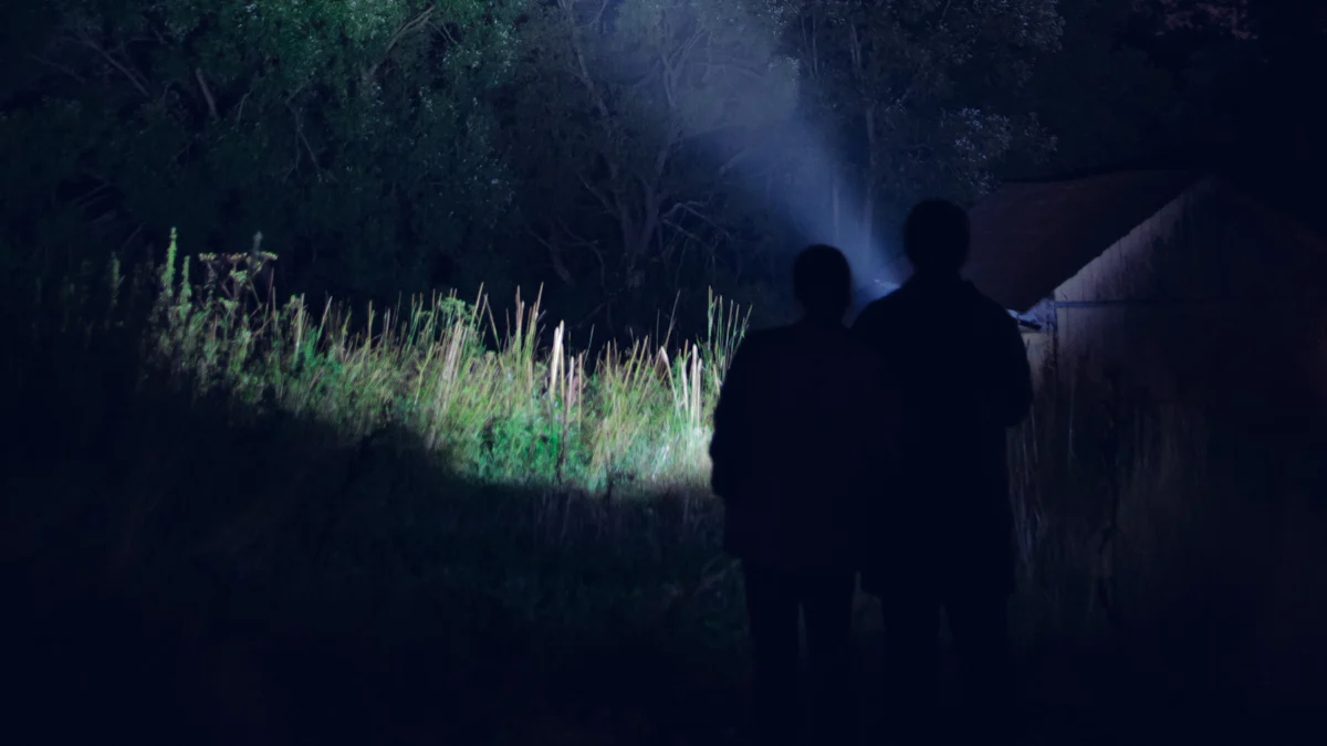 The Risks of Neglecting Quality in Bulk Purchasing Flashlights