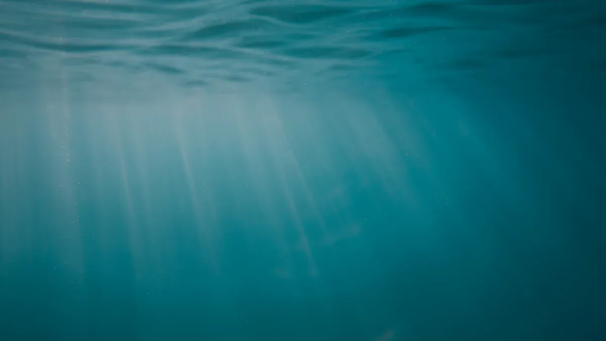 Light and Color Underwater