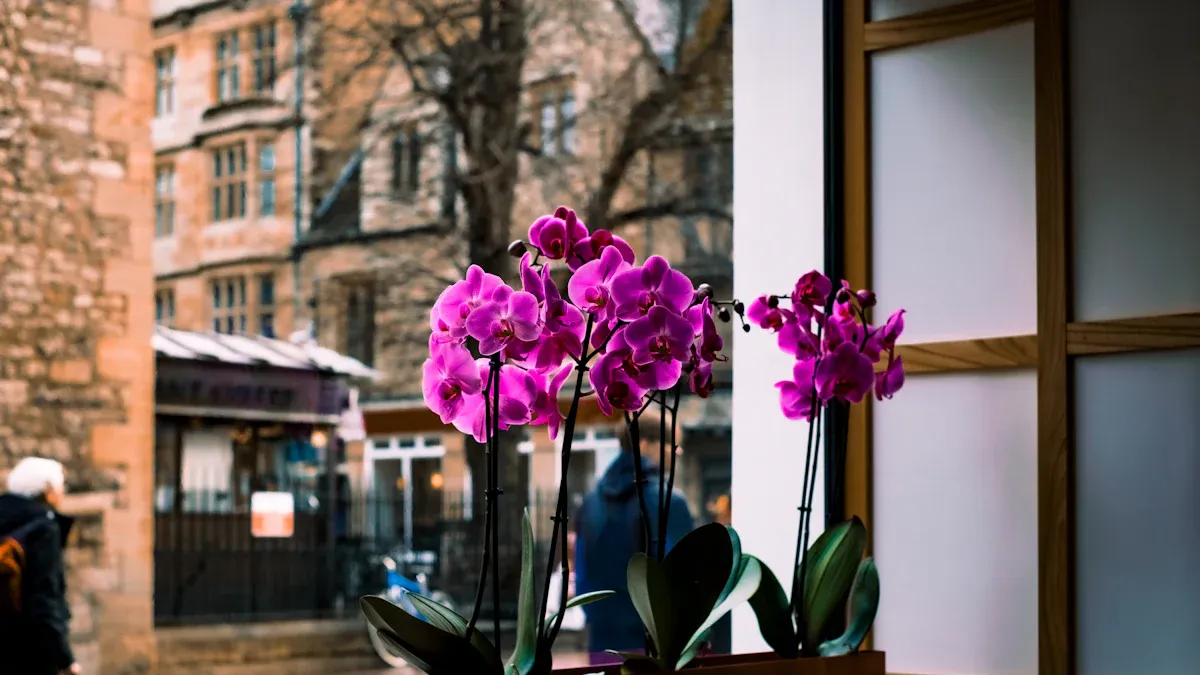 Use Plants and Natural Decor