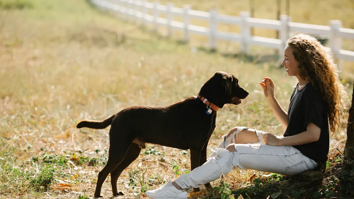 Top 10 Free Dog Whistle Sound Effects