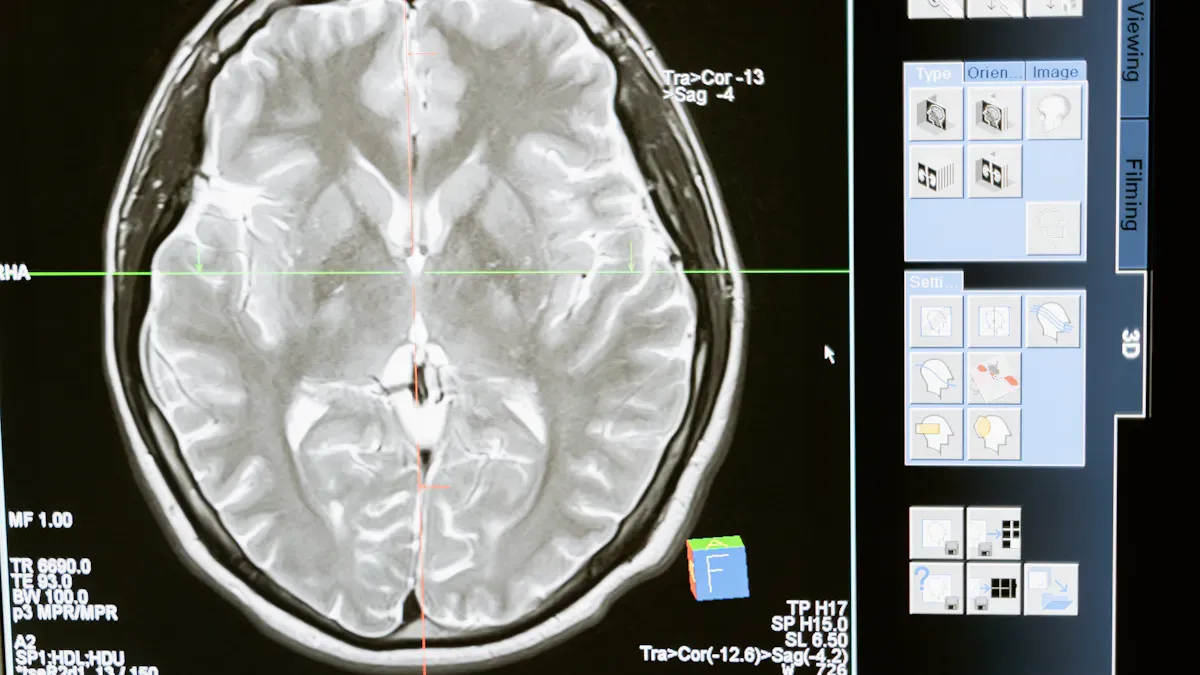 Sensory deprivation effects on the brain