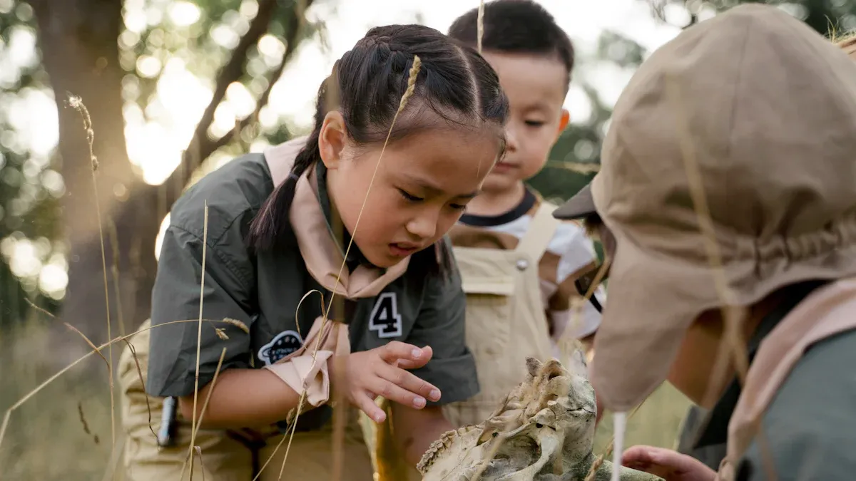 Nature and Outdoor STEM Activities