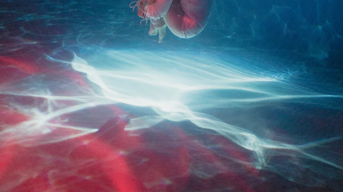 Benefits of Bubble Fish Lamps