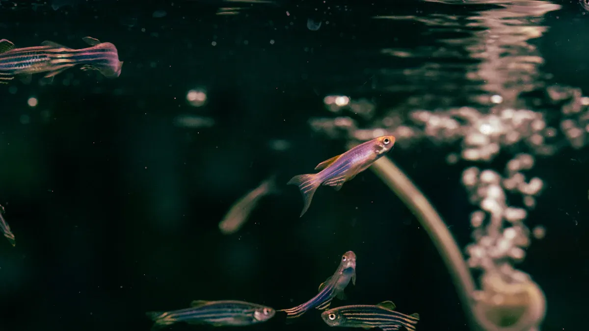 Top Bubble Fish Lamp Picks