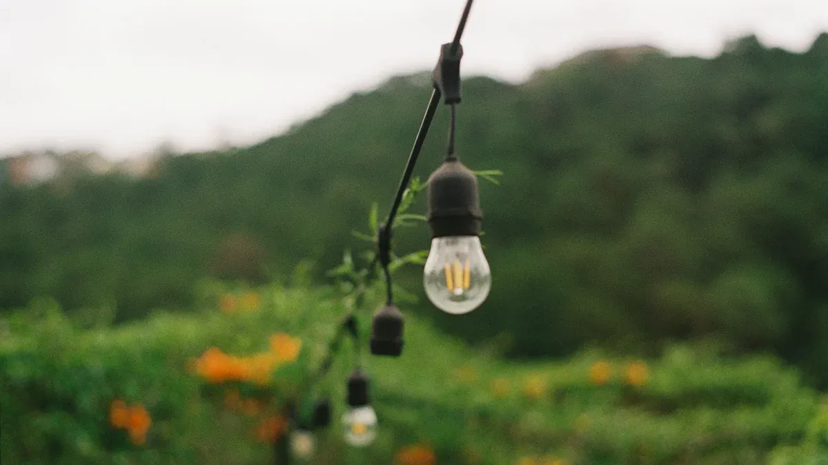 Best Durable Outdoor LED Lighting Options for Energy Savings