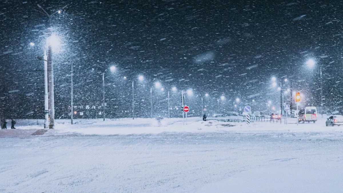 Choose the Best Outdoor Light for Snowstorm