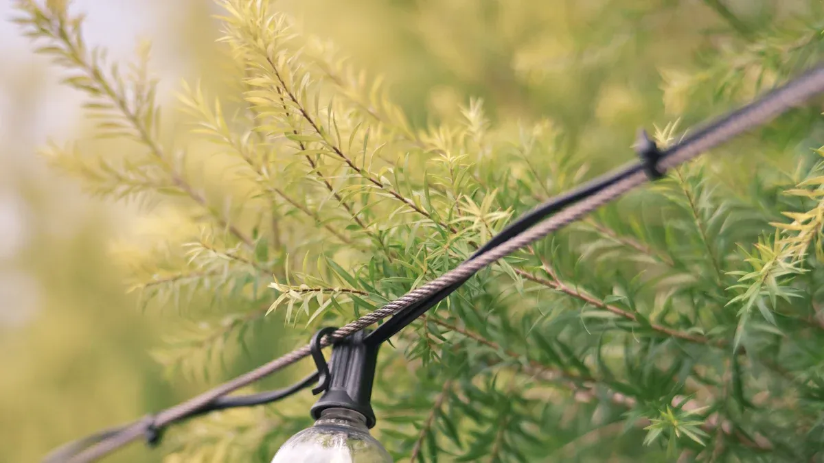 Step-by-Step Installation of LED Outdoor Lights