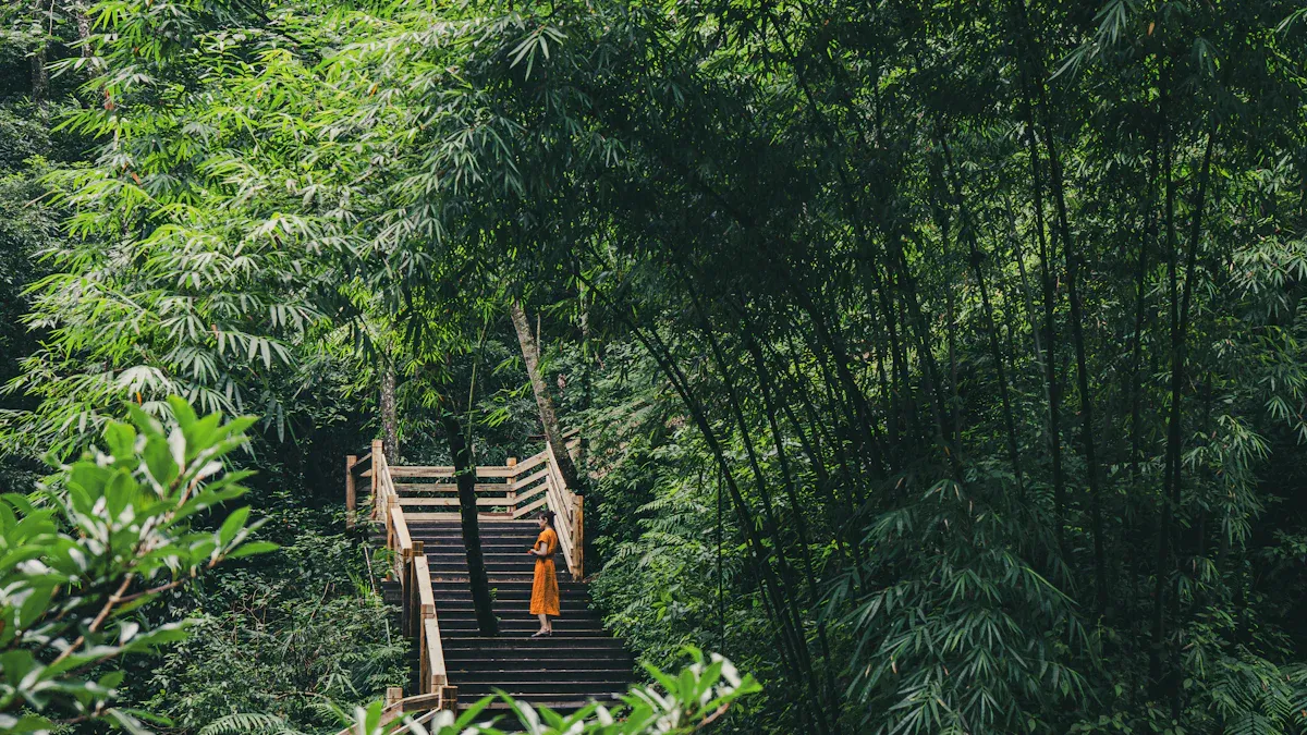 Hiking Mount Qingcheng