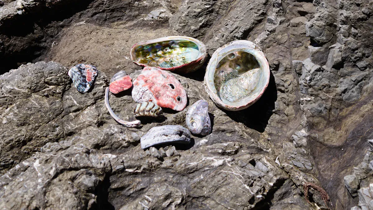 Silver abalone materials