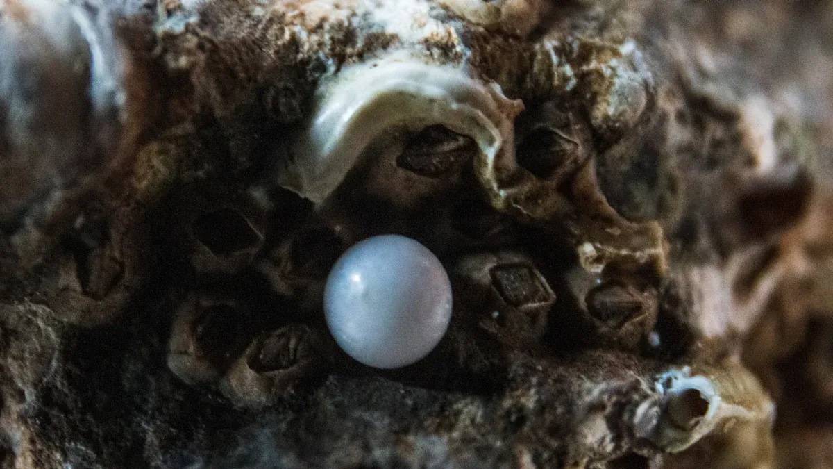 What makes a reliable MOP and pearl maker for collectors?