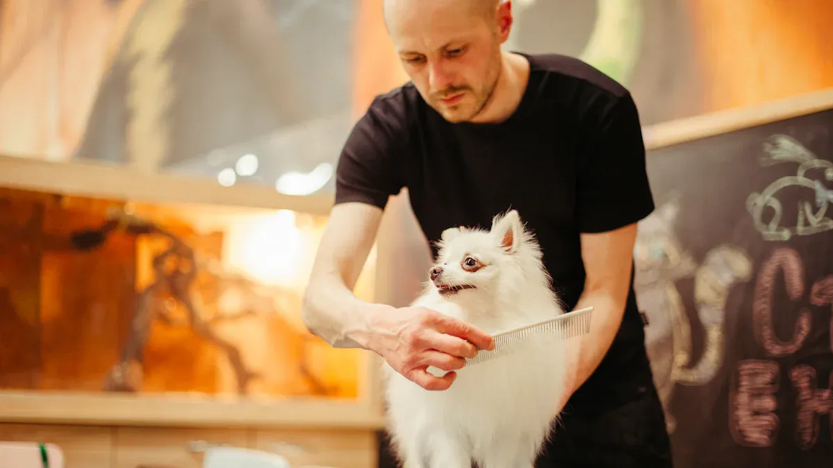 Cat Shows Grooming Checklist