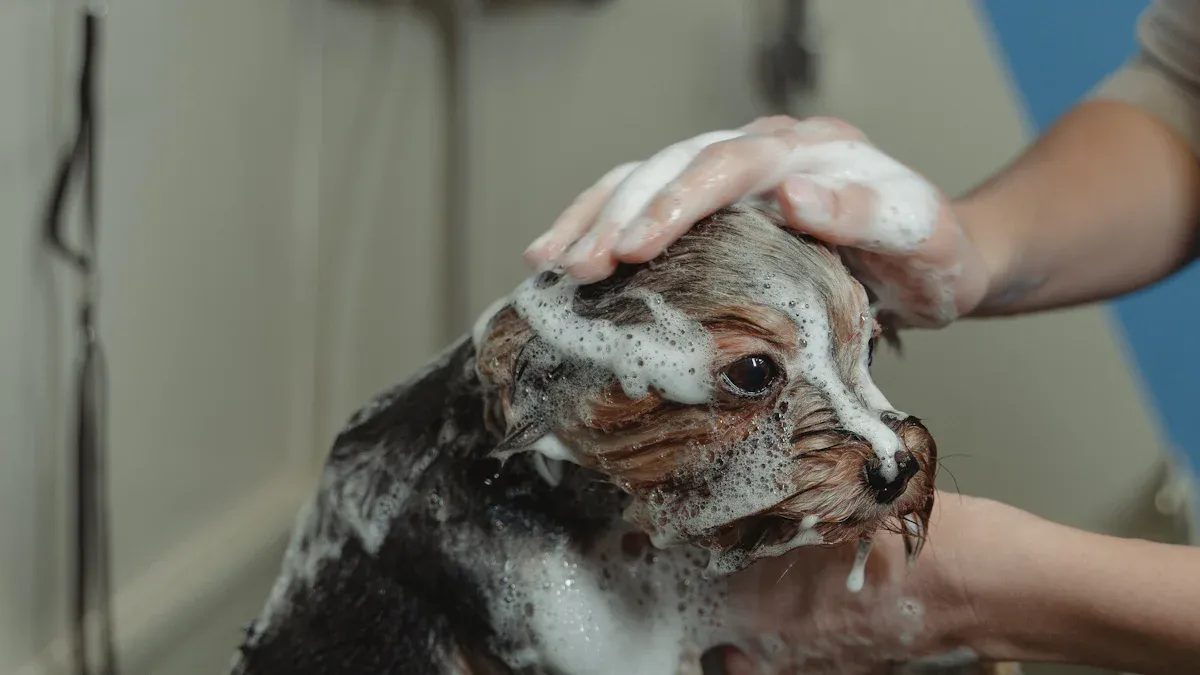 Step-by-Step Guide: Using Cat Shampoo with PawSwing Neo