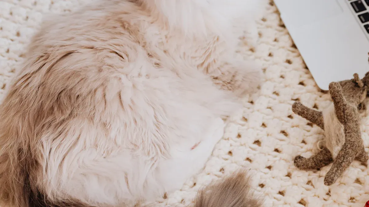 Why Cat Hair Is a Persistent Problem