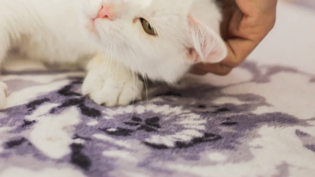 Safe Grooming Tips