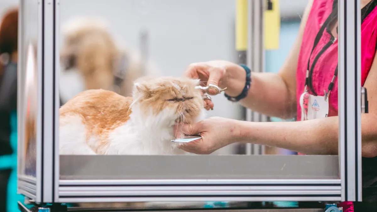 Reducing Cat Shedding