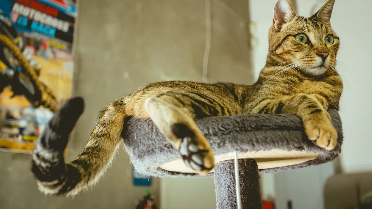 7 Must-Have Self-Grooming Cat Houses for Busy Cat Owners