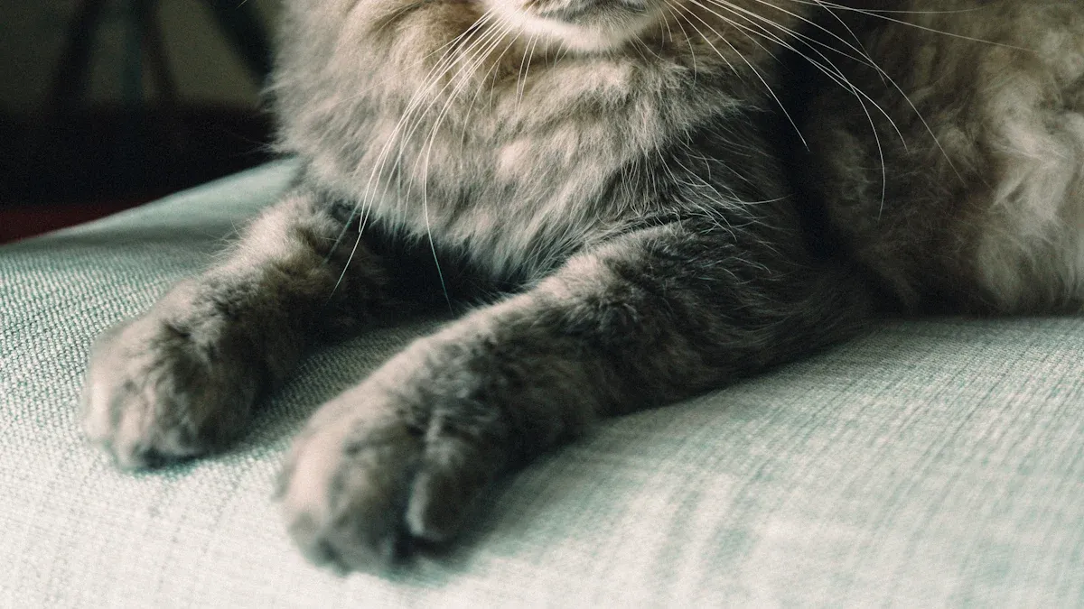 Cat Shedding Causes