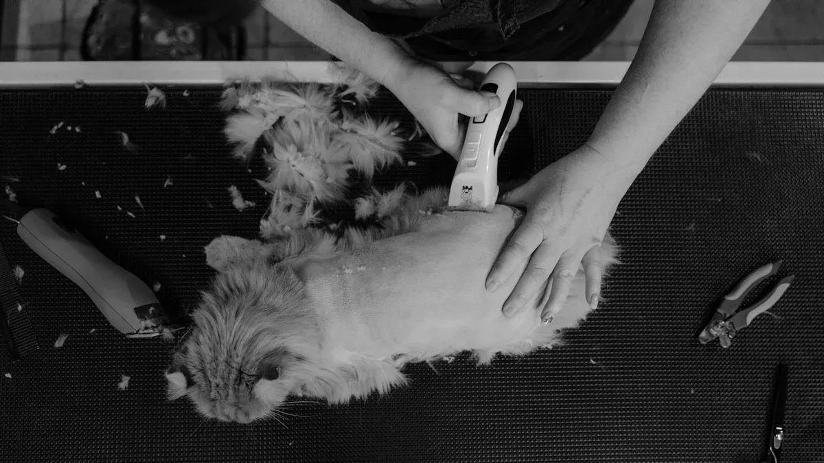 Best De-Shedding Tools for Long-Haired Cats