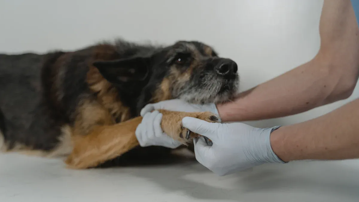 Pawswing vs Grooming Gloves