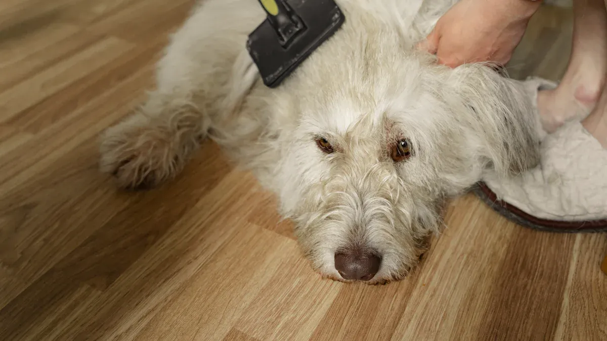 How to Get Mats Out of Dog Hair