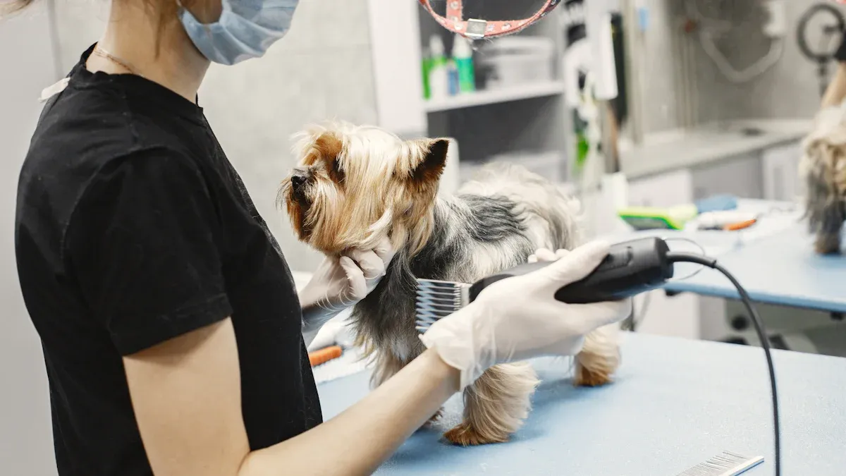 Professional Dog Grooming Safety