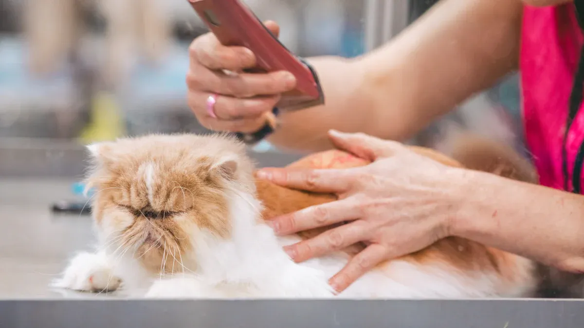 Grooming Tools for Long-Haired Cats