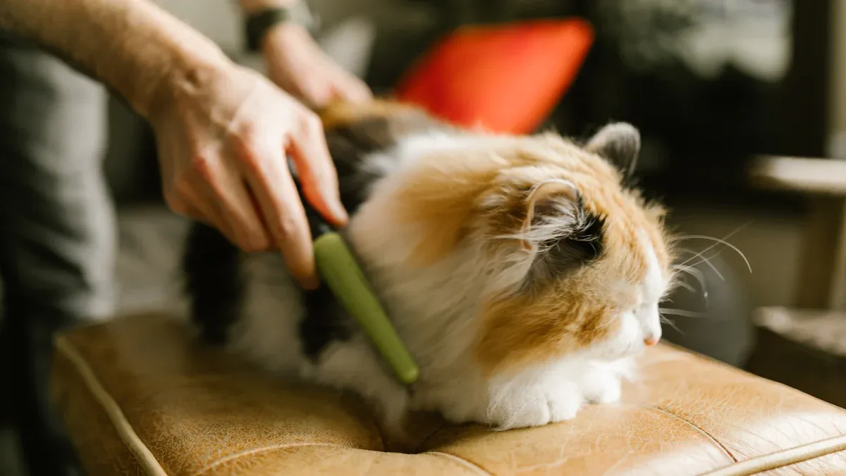 Comfort for Cats and Owners