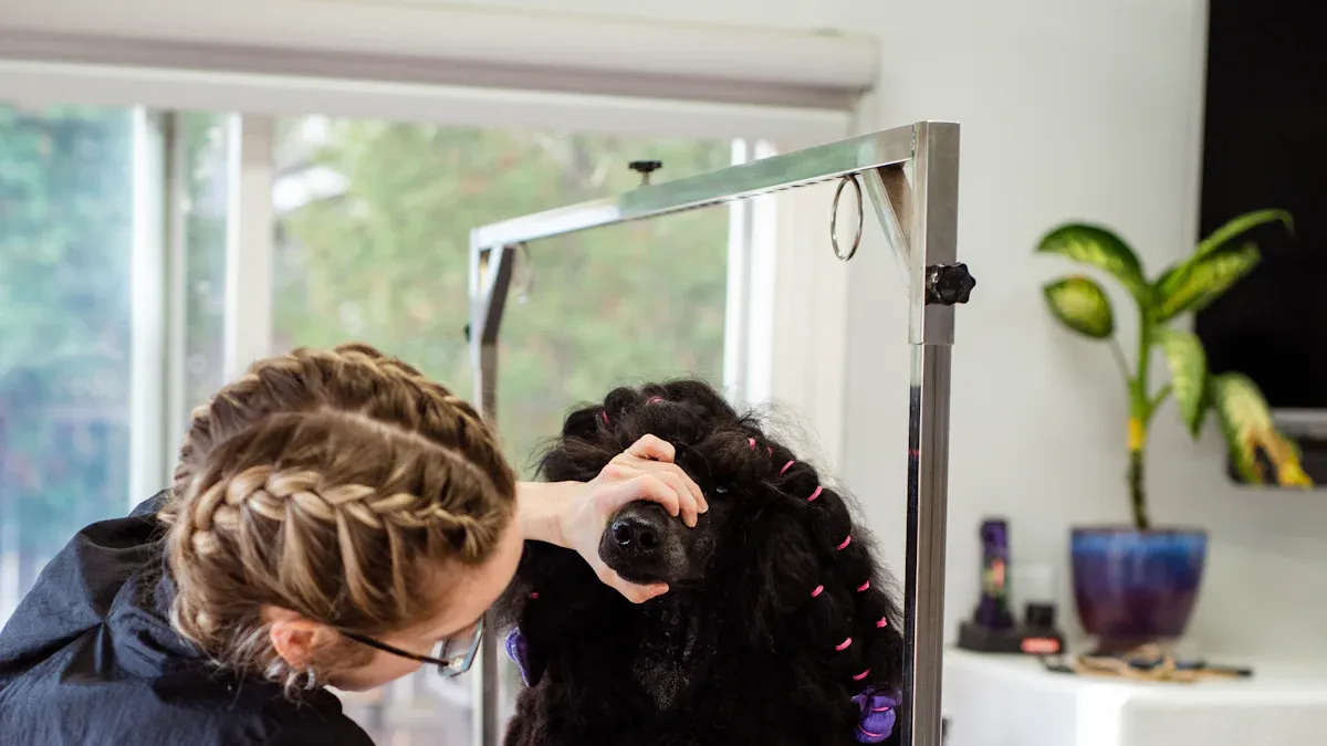 Top 7 Cat Self Groomers for Multiple Cat Households