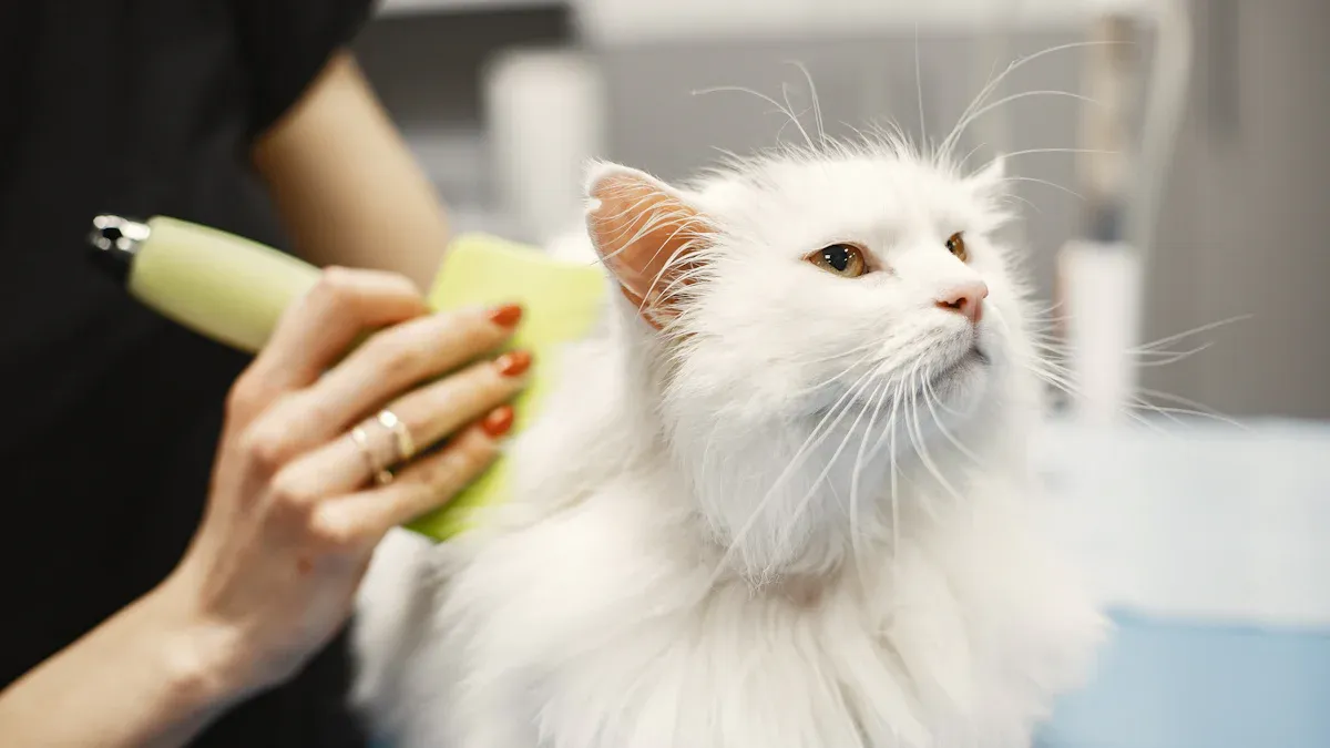 Pawswing Reduces Shedding