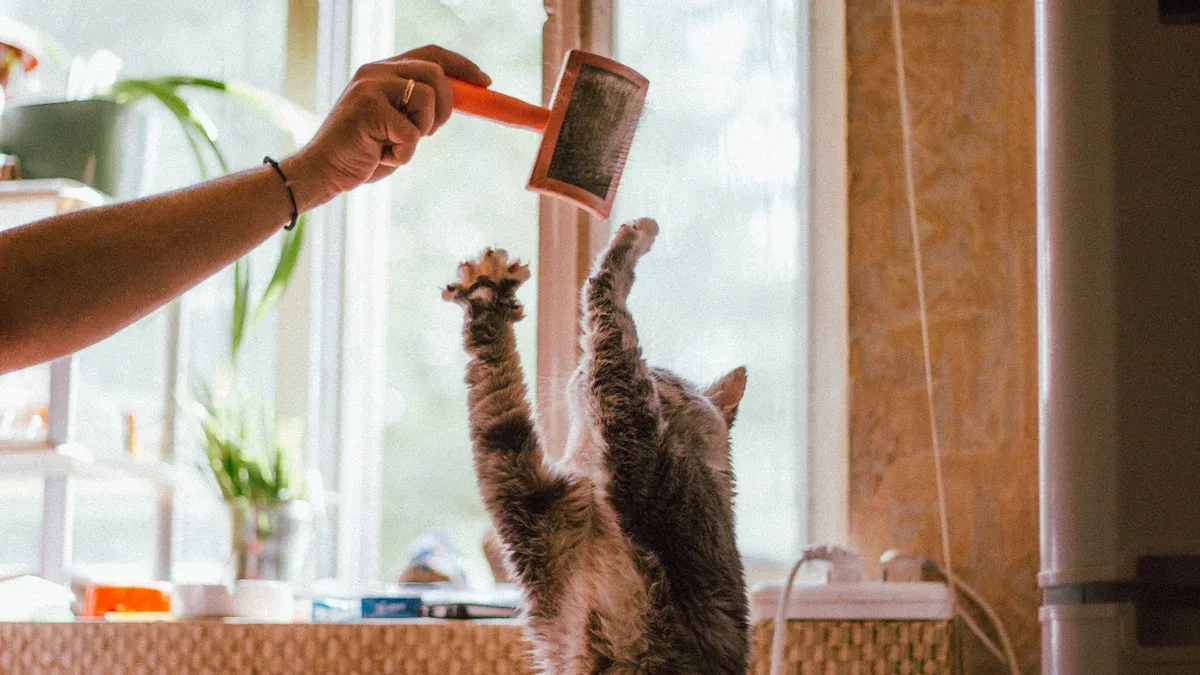 How to Use Grooming Tools